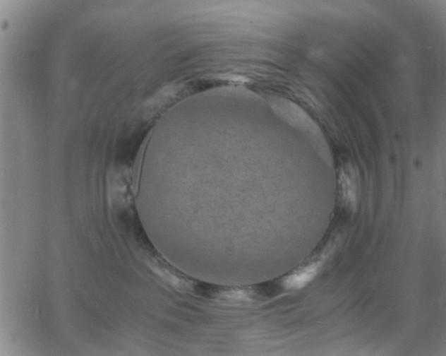 X0000062650237200512230904