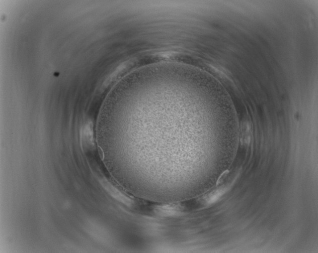 X0000062650238200512230904