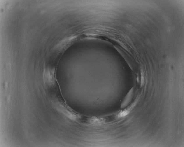 X0000062650239200512230904