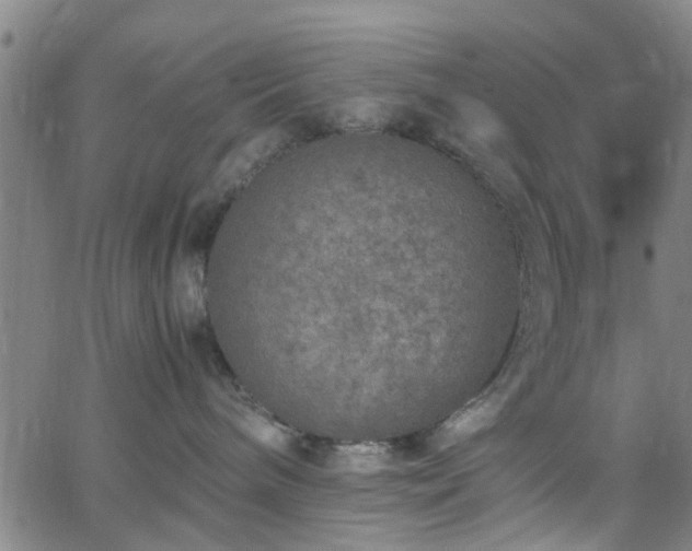 X0000062650240200512230904