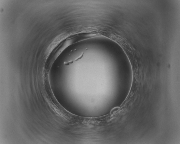 X0000062650242200512230903