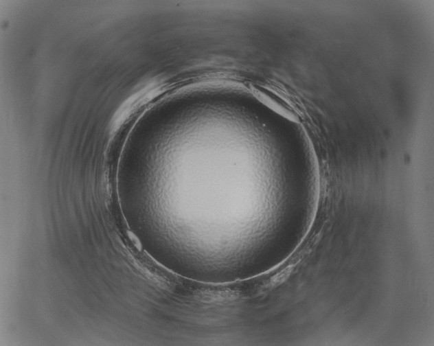 X0000062650245200512230903