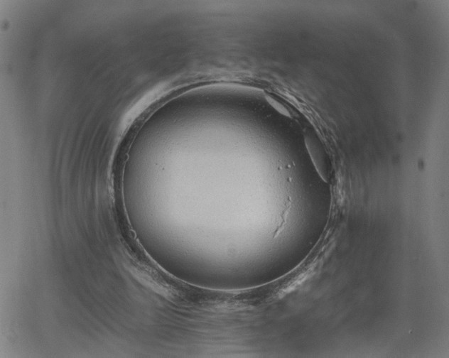 X0000062650246200512230903