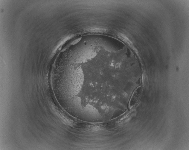 X0000062650249200512230903