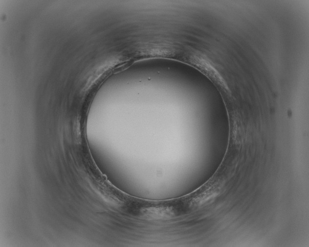 X0000062650251200512230903