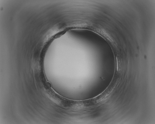 X0000062650252200512230903