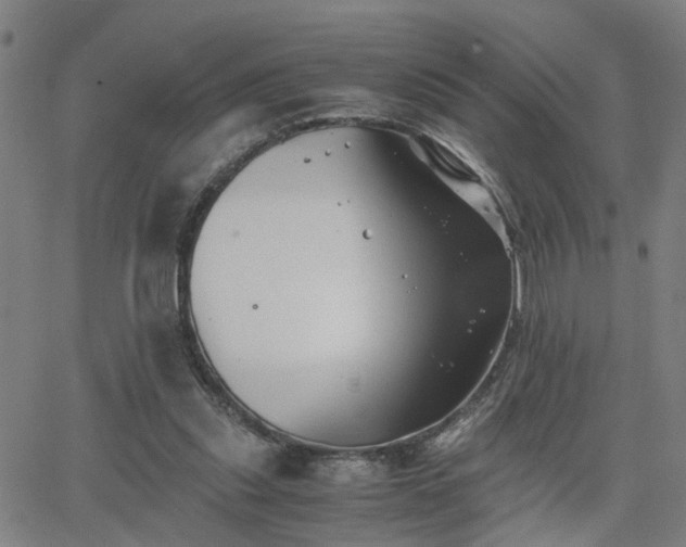 X0000062650253200512230903