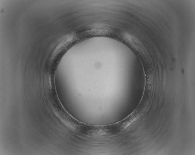 X0000062650254200512230903