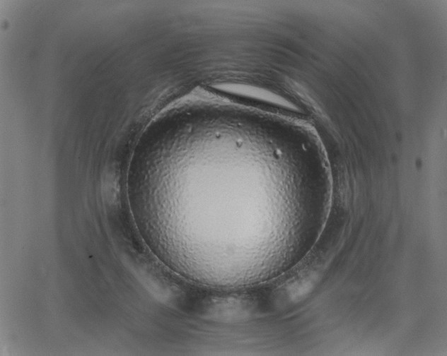 X0000062650259200512230903