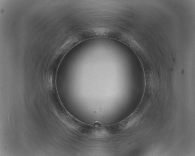 X0000062650262200512230903