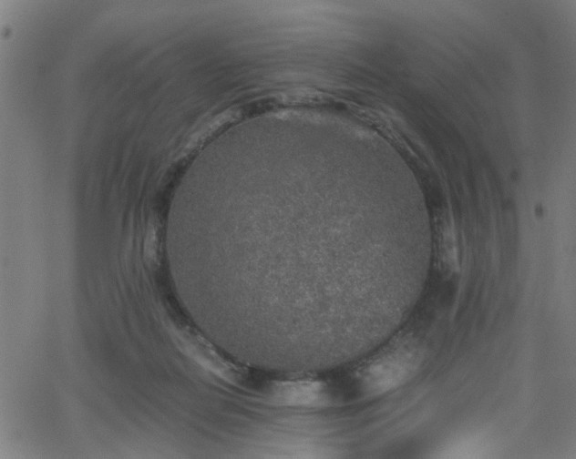 X0000062650266200512230903