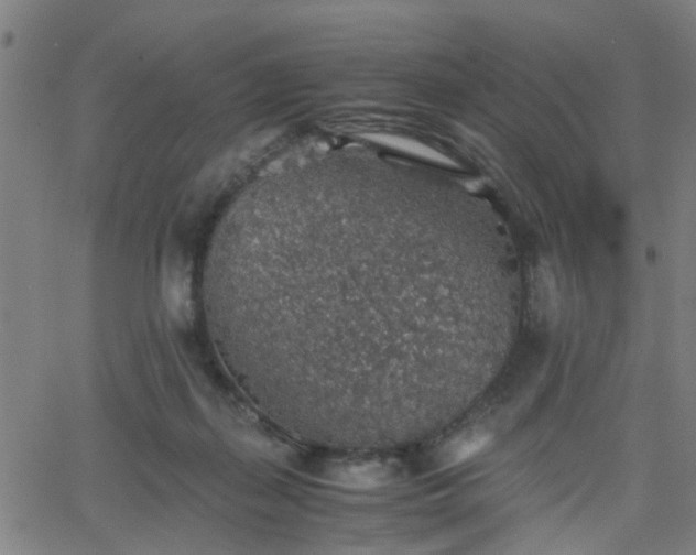 X0000062650267200512230903