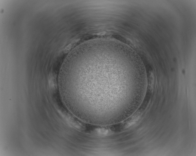 X0000062650272200512230903