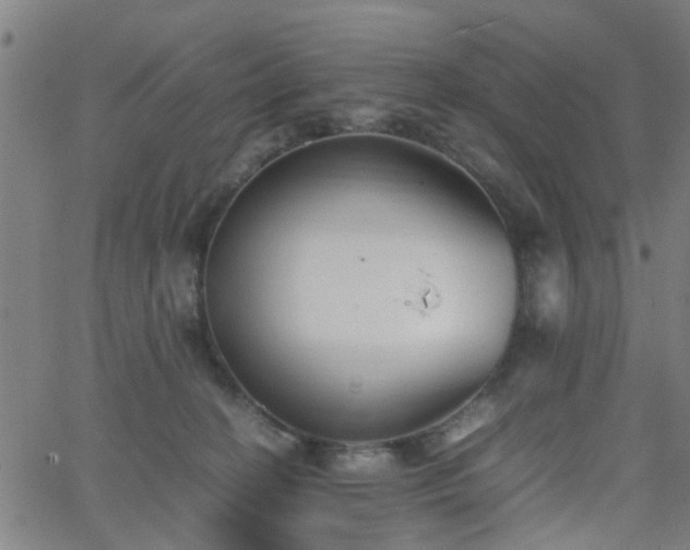 X0000062650274200512230903