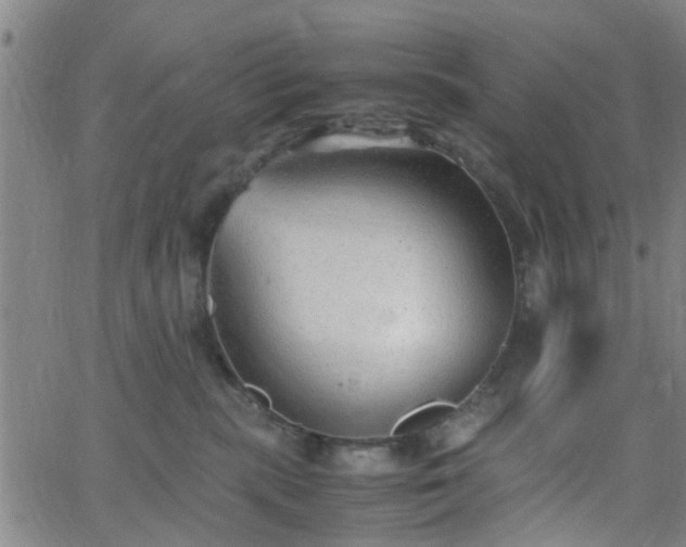 X0000062650283200512230903