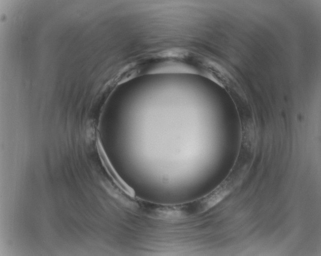 X0000062650284200512230903