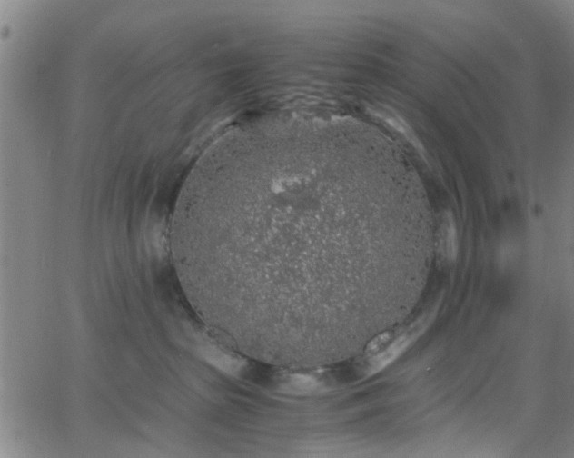 X0000062650285200512230903