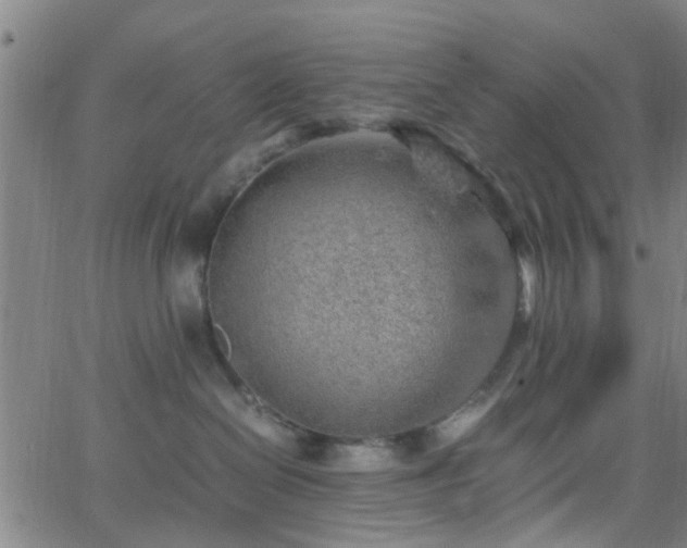 X0000062650286200512230904