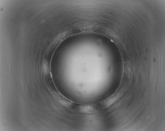 X0000062650287200512230904