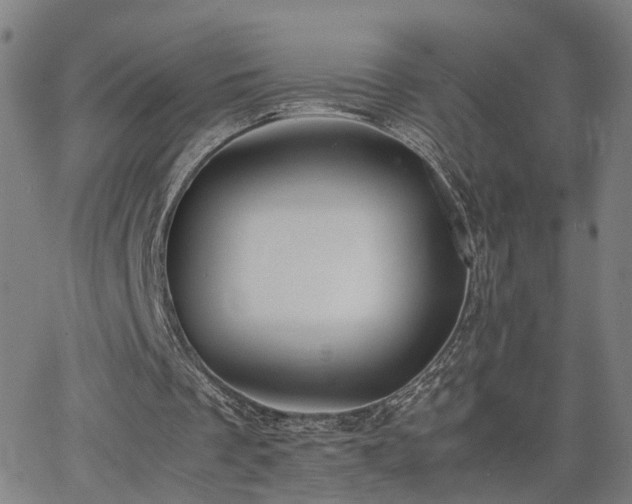 X0000062650289200512230903