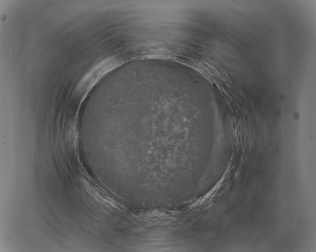 X0000062650290200512230903