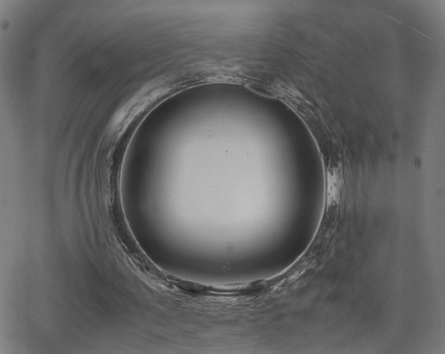 X0000062650291200512230903