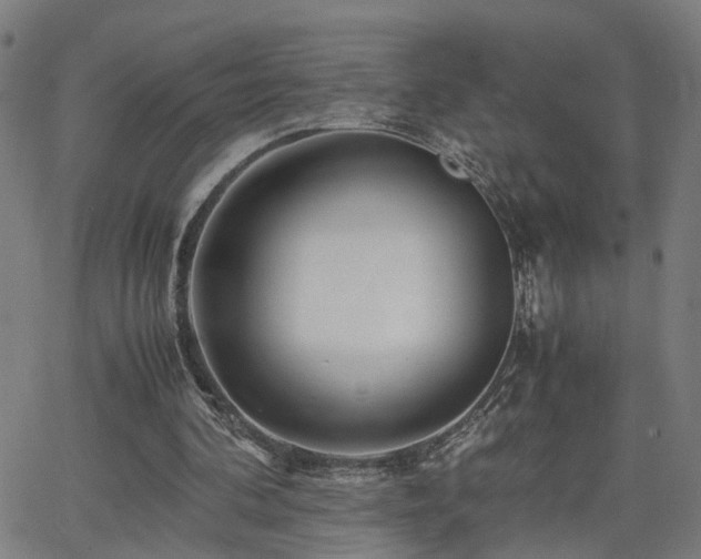 X0000062650292200512230903