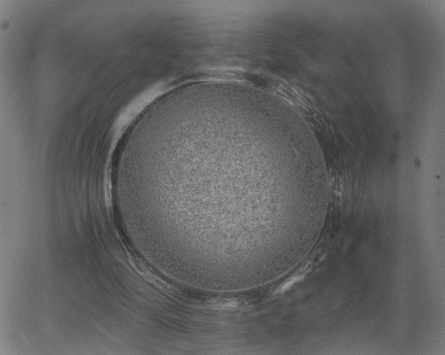 X0000062650294200512230903