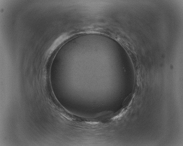 X0000062650295200512230903