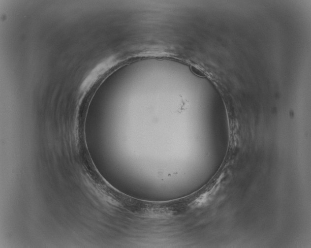 X0000062650296200512230903