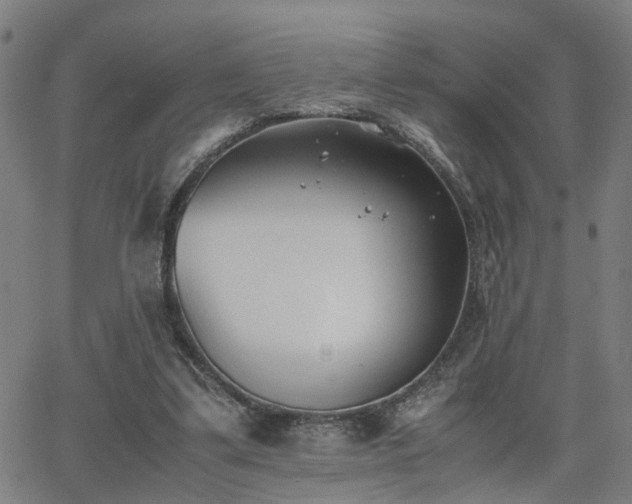 X0000062650299200512230903