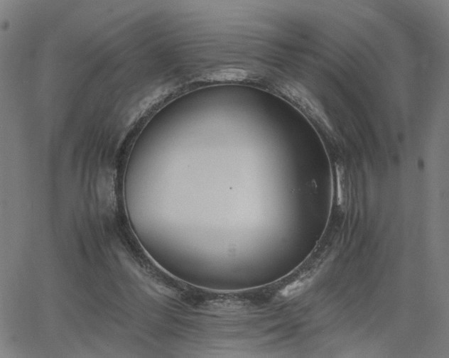 X0000062650300200512230903