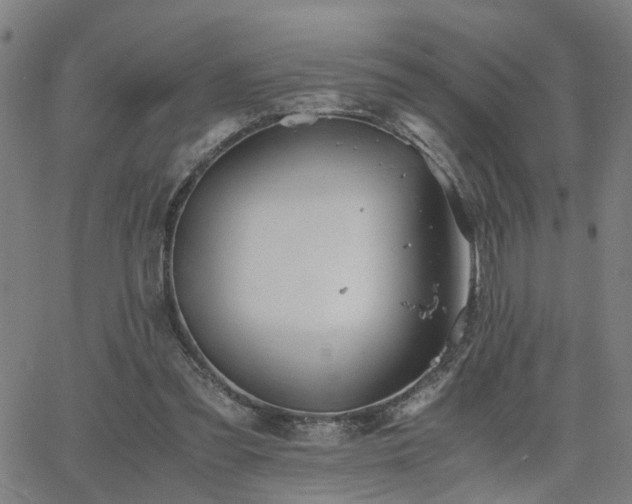 X0000062650301200512230903