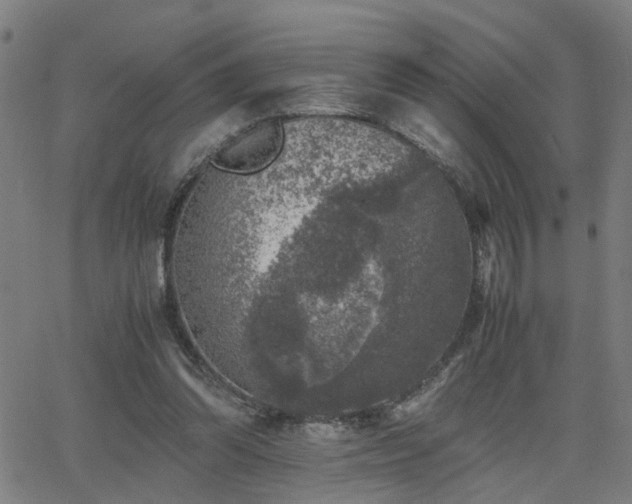 X0000062650302200512230903