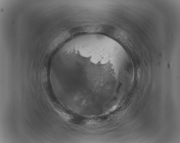 X0000062650303200512230903