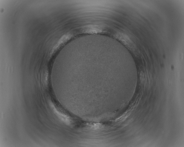 X0000062650304200512230903