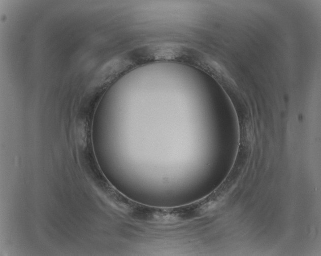 X0000062650311200512230902