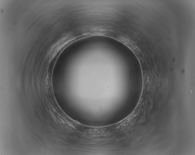 X0000062650338200512230901