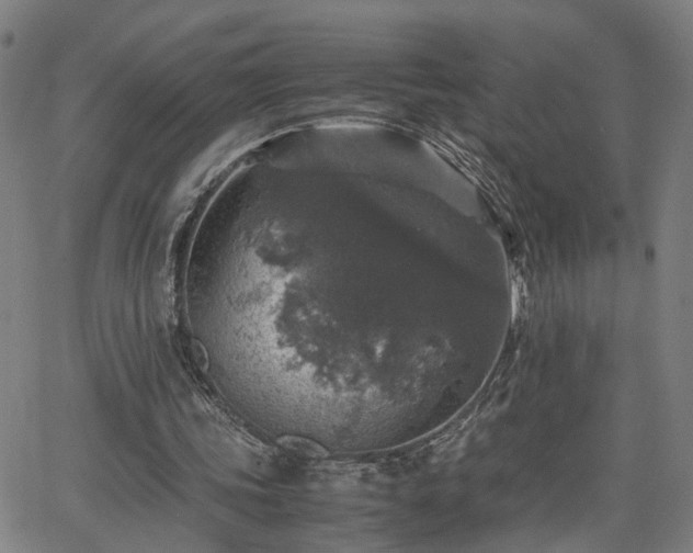 X0000062650339200512230901