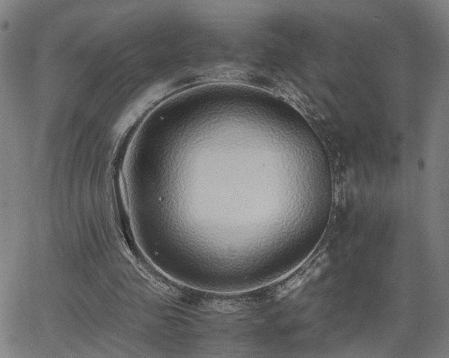 X0000062650341200512230901