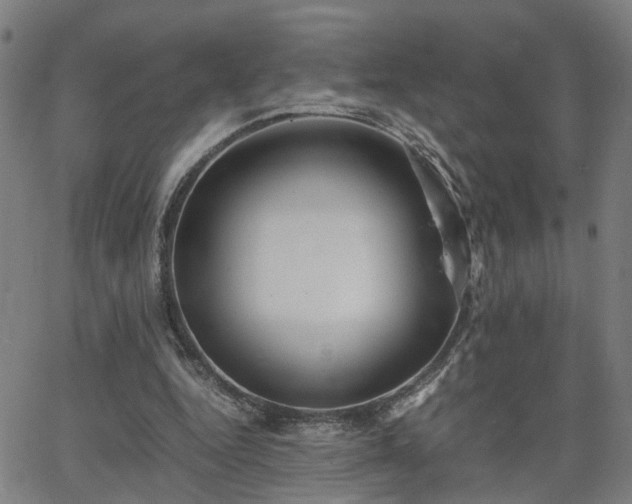 X0000062650344200512230901