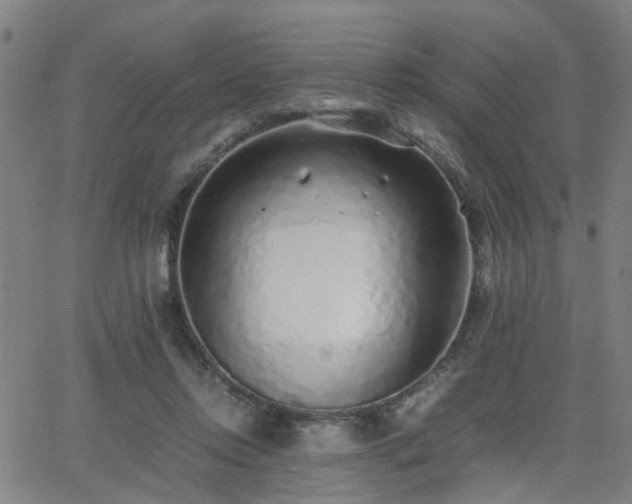 X0000062650358200512230902