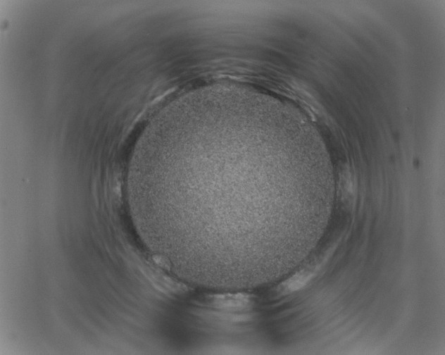 X0000062650363200512230902