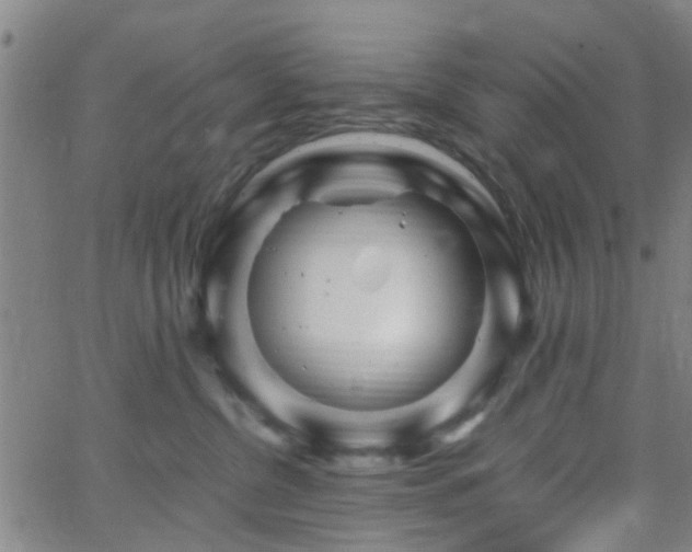 X0000062650380200512230902