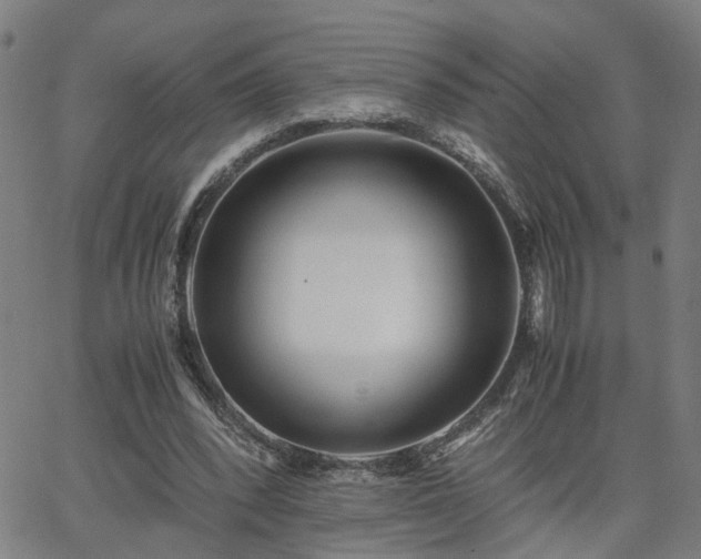 X0000062650392200512230901