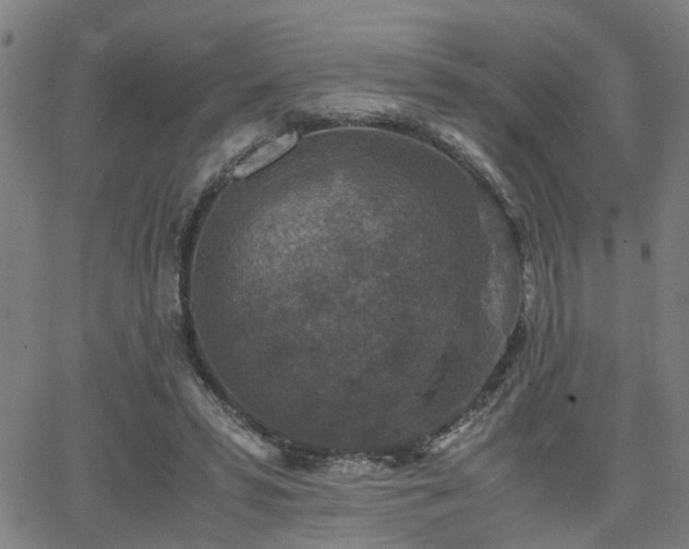 X0000062650399200512230901