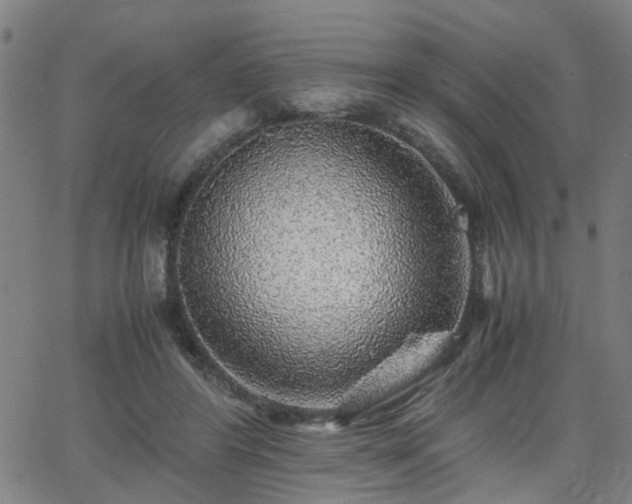 X0000062650404200512230901