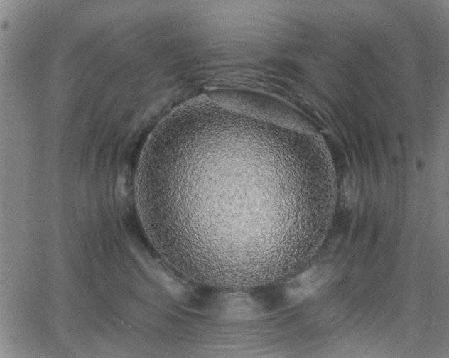 X0000062650424200512230901