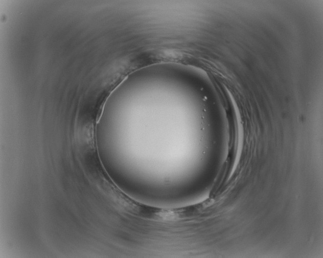 X0000062650425200512230901