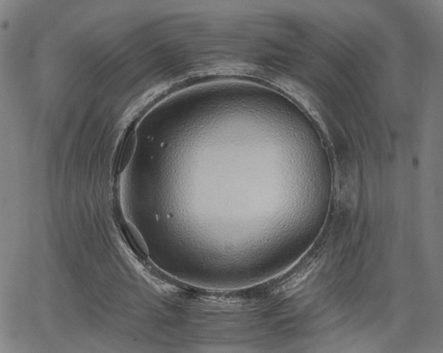 X0000062650437200512230900